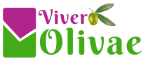 Vivero Olivae